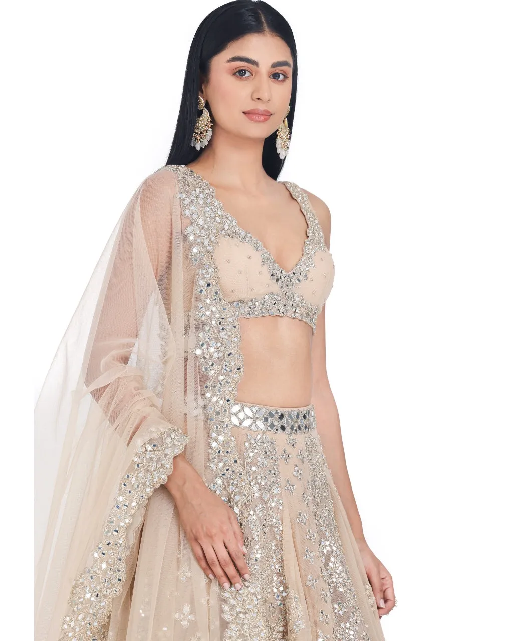 Blush Beige Lehenga Set