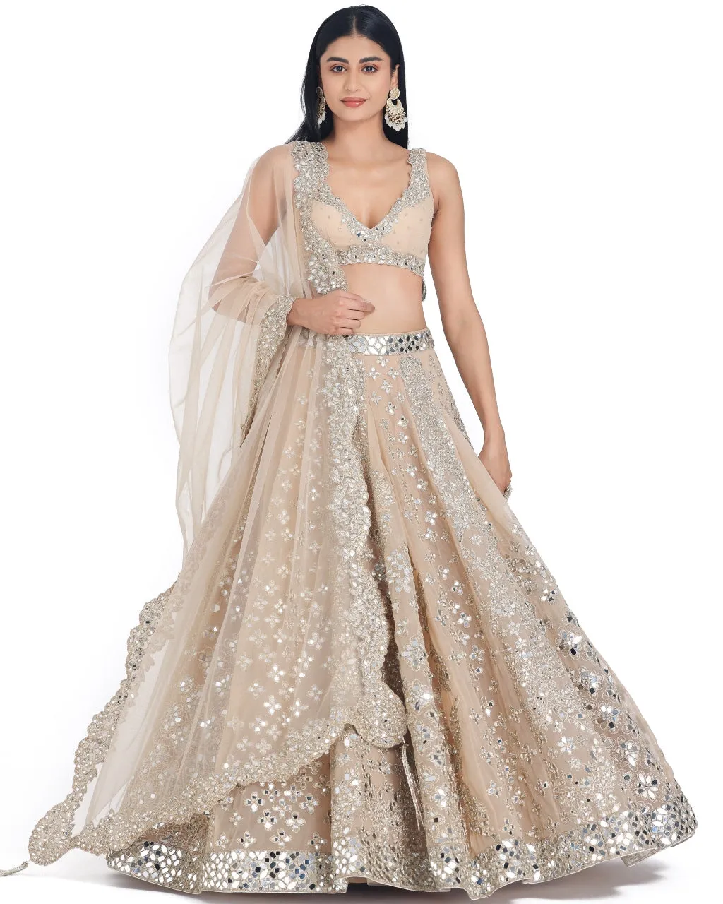 Blush Beige Lehenga Set