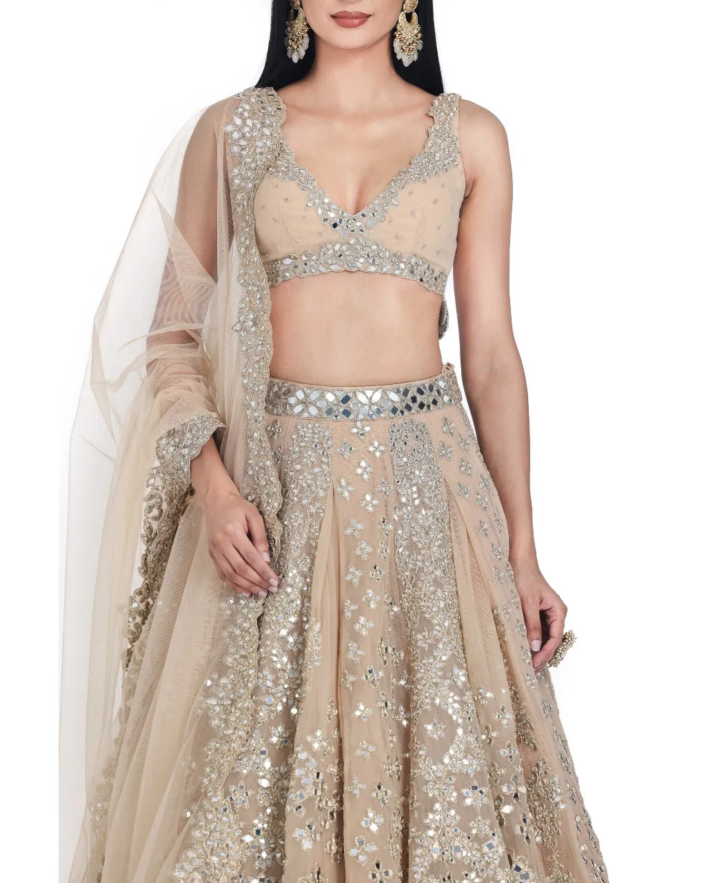 Blush Beige Lehenga Set