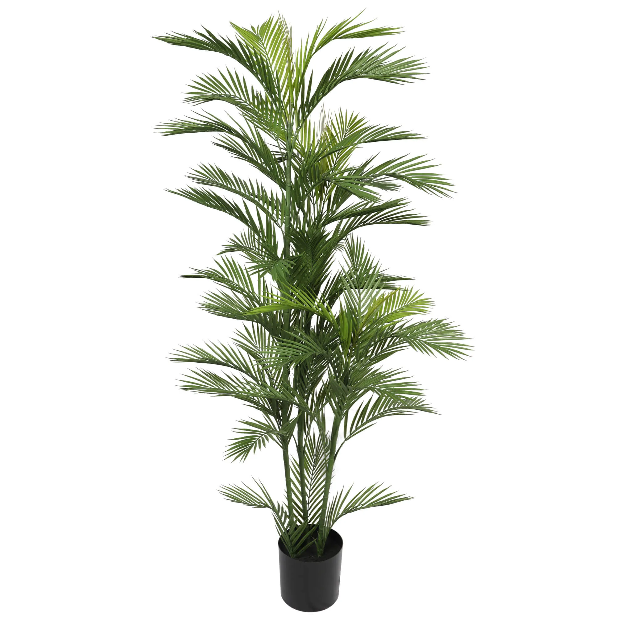 Pair Bundle - 2 x Areca Palms UV 180cm