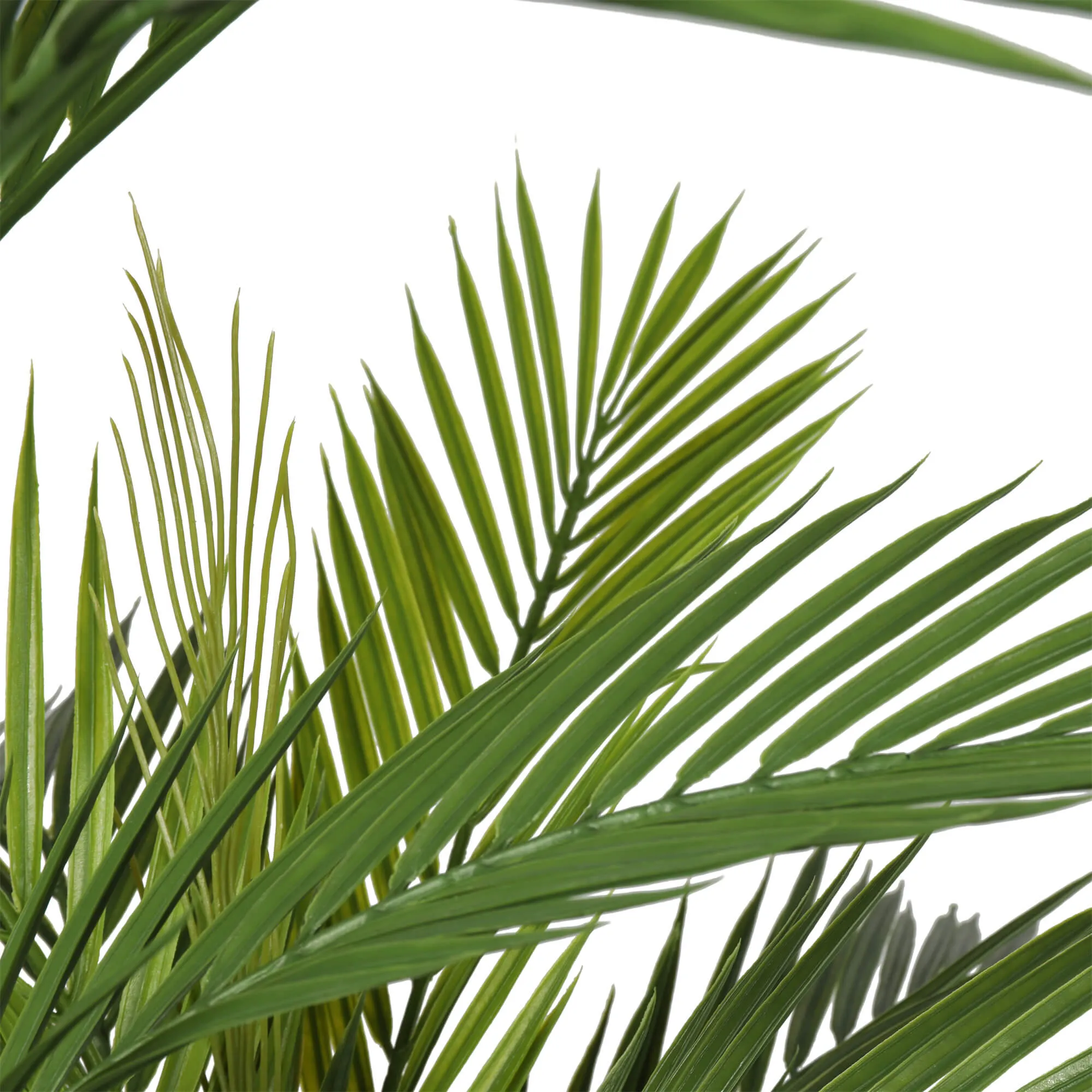 Pair Bundle - 2 x Areca Palms UV 180cm