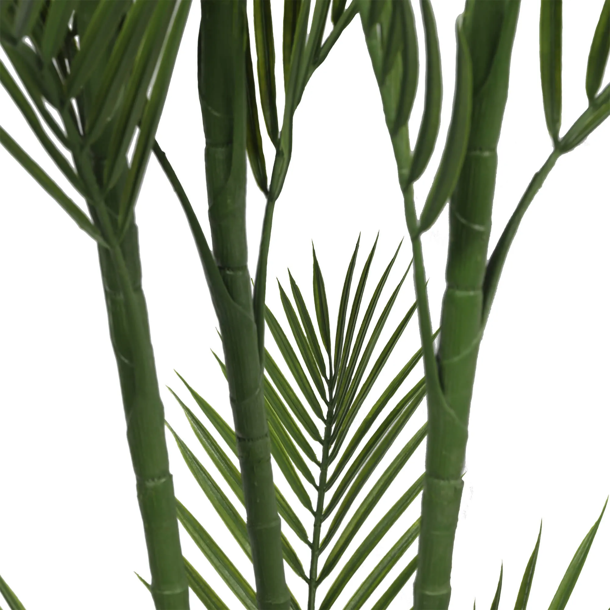 Pair Bundle - 2 x Areca Palms UV 180cm