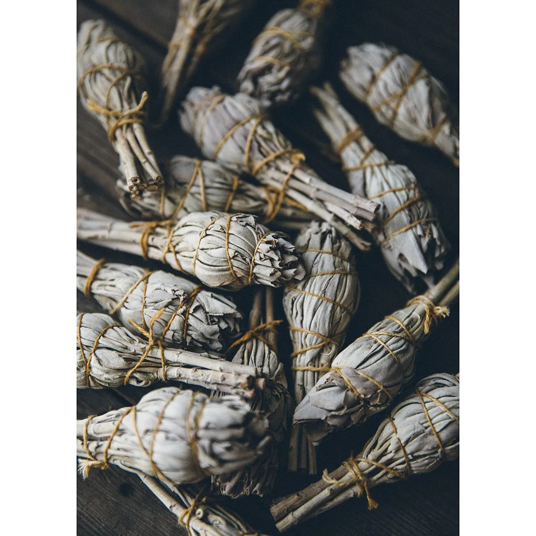 White Sage Bundle