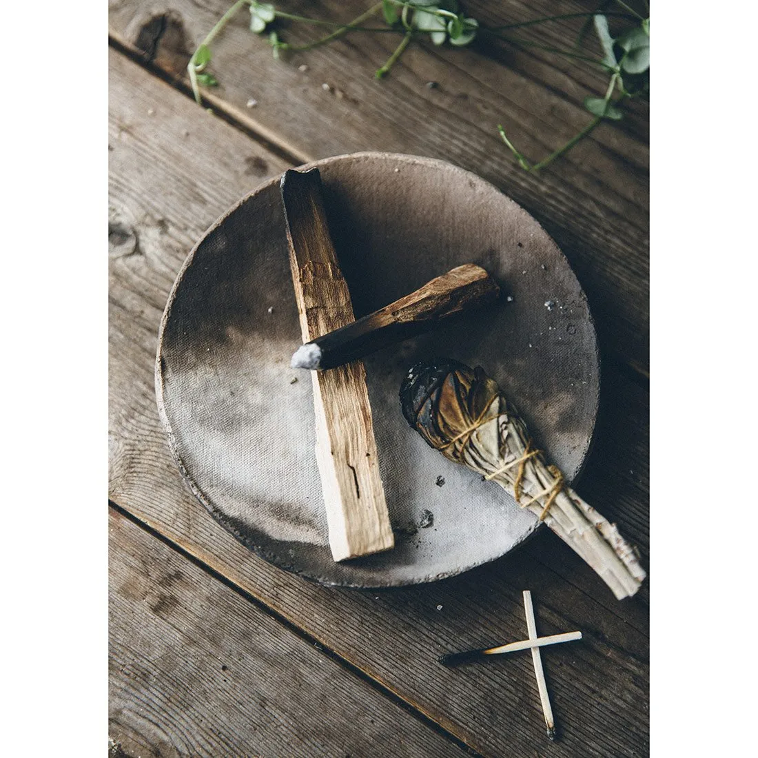 White Sage Bundle